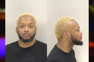 Dominique Logan mugshot