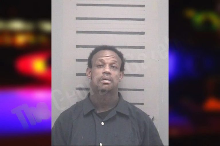 Dominique Whigham mugshot β Camden County , Georgia Dominique Whigham