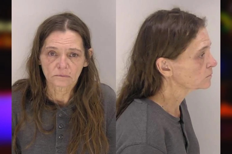 Donna Dyer Mugshots