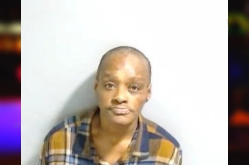 Donna Spidell Mugshots