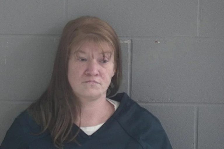 Dorothy English mugshot – Brantley County , Georgia Dorothy English