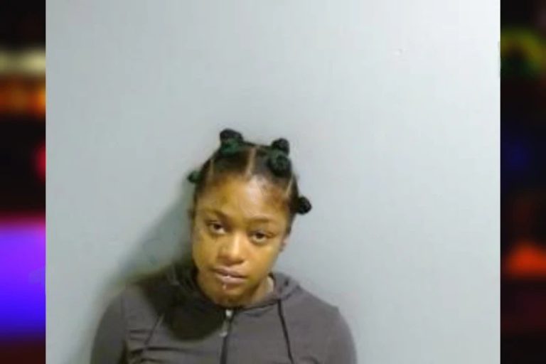 Drew Gaskins mugshot – Fulton County , Georgia Drew Gaskins