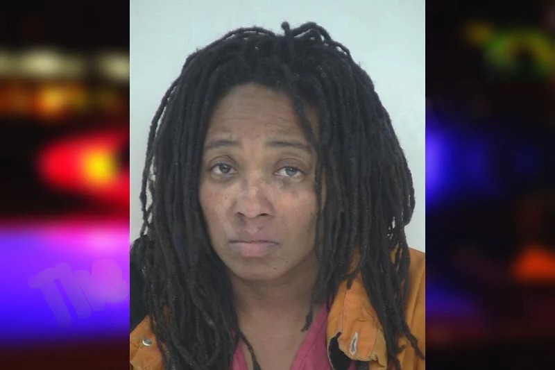 Elainah Williams mugshot – Fayette County , Georgia Elainah Williams mugshot