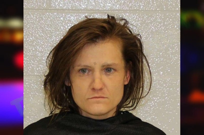 Elisa Wilcurt mugshot