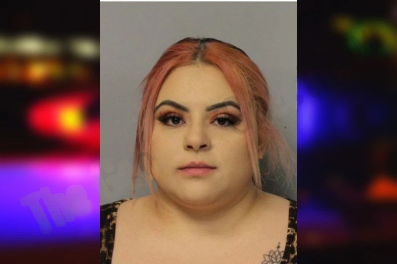 Elizabeth Chicas Mugshots