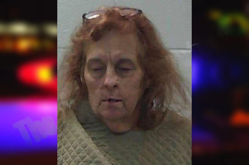 Elizabeth Costello mugshot