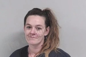 Elizabeth Jackson Mugshots