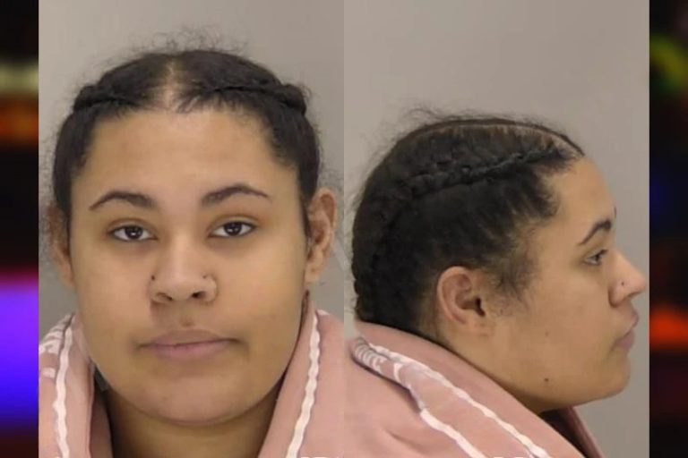 Elizabeth Lee mugshot – Richmond County , Georgia Elizabeth Lee