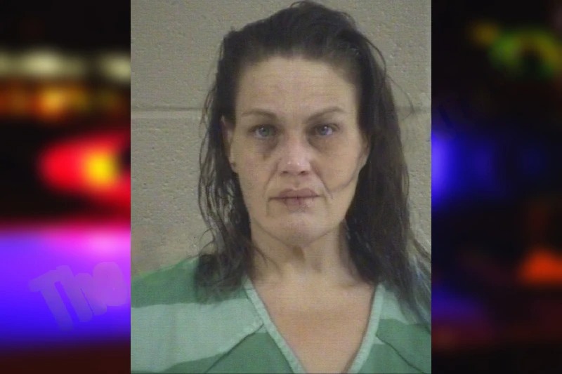 Elizabeth Manis mugshot