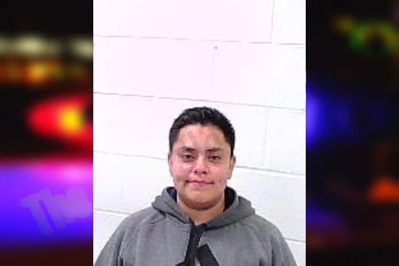 Elizabeth Mejia Velazquez mugshot