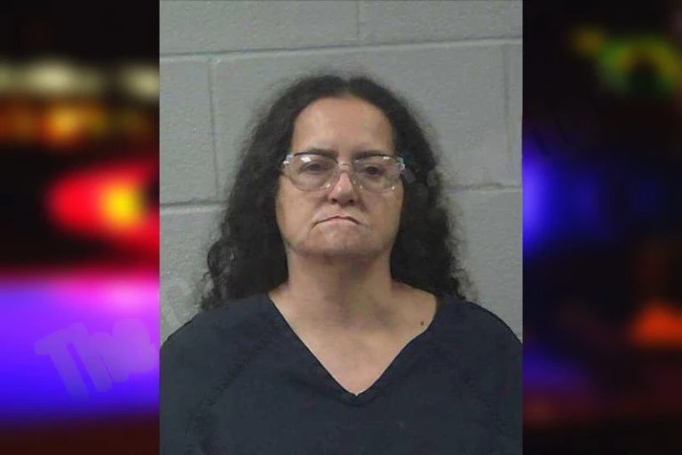 Elizabeth Ottimo mugshot – Gilmer County , Georgia Elizabeth Ottimo