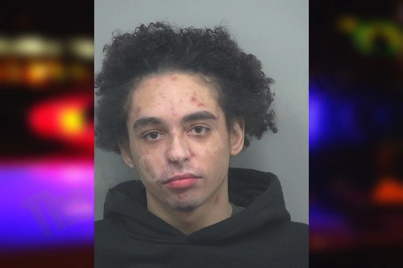 Elwyn Santos Mugshots