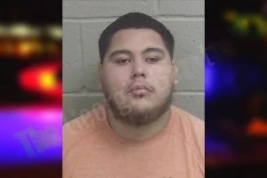 Emanuel Munoz mugshot – Wayne County , Georgia Emanuel Munoz