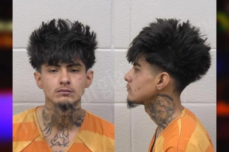 Emerson Romero mugshot – Paulding County , Georgia Emerson Romero
