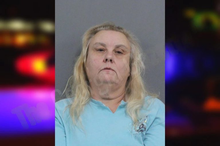 Emily Ellis mugshot – Catoosa County , Georgia Emily Ellis