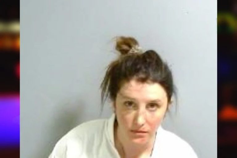 Emily Hovis mugshot – Fulton County , Georgia Emily Hovis