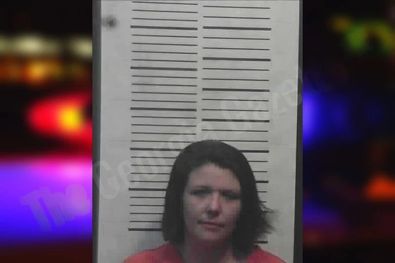 Emily Lanier Mugshots