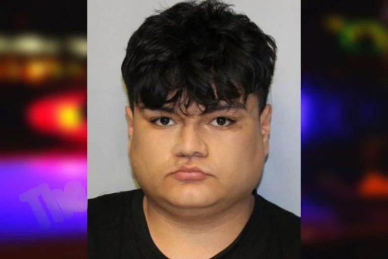 Emmanuel Alfaro mugshot – Gwinnett County , Georgia Emmanuel Alfaro