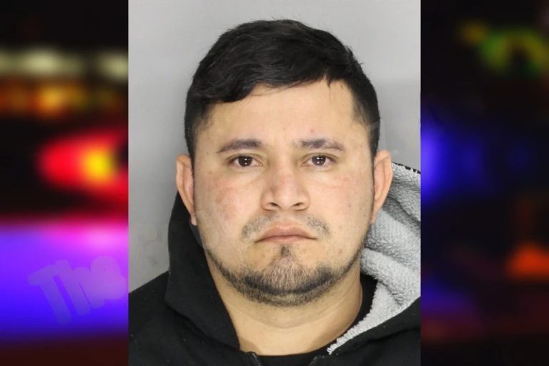 Ender Molina mugshot – Cobb County , Georgia Ender Molina