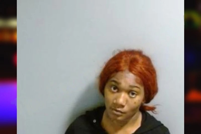 Erecka Coleman mugshot – Fulton County , Georgia Erecka Coleman mugshot