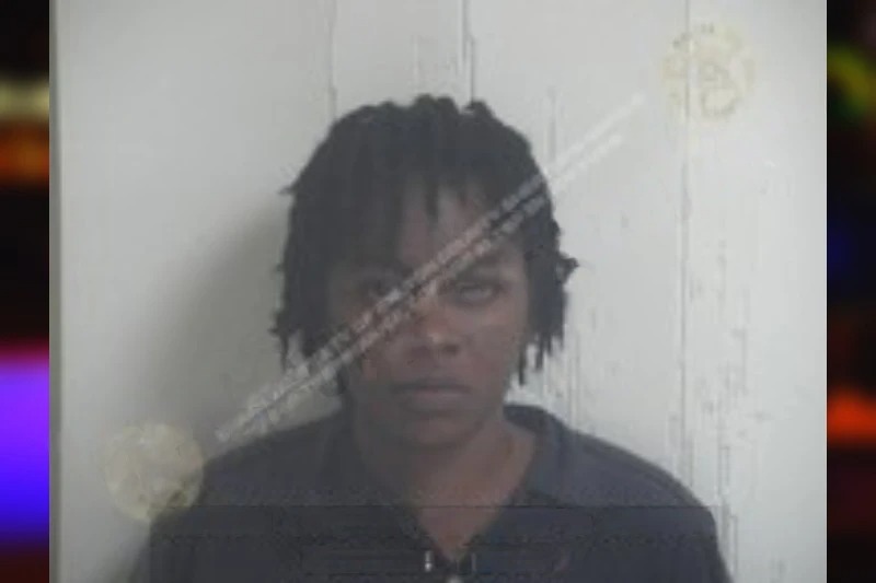 Erica Bell mugshot