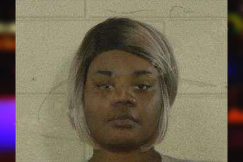 Erica Brunson mugshot
