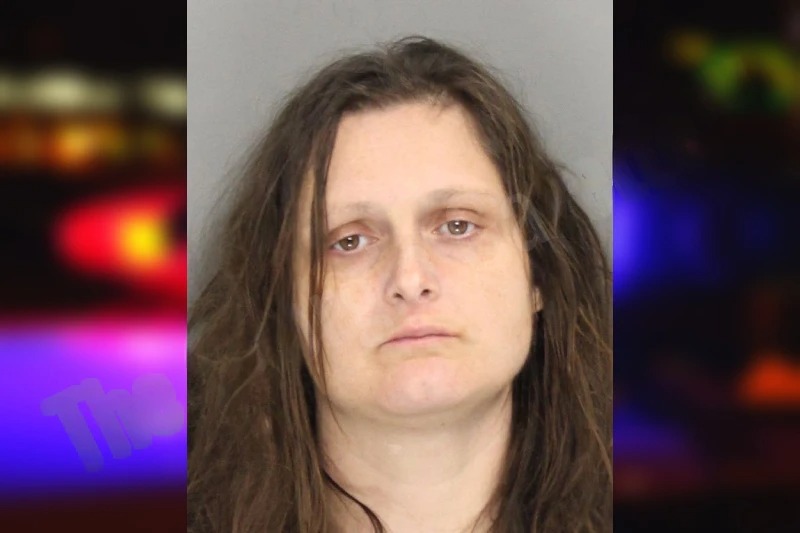 Erica Elmore mugshot