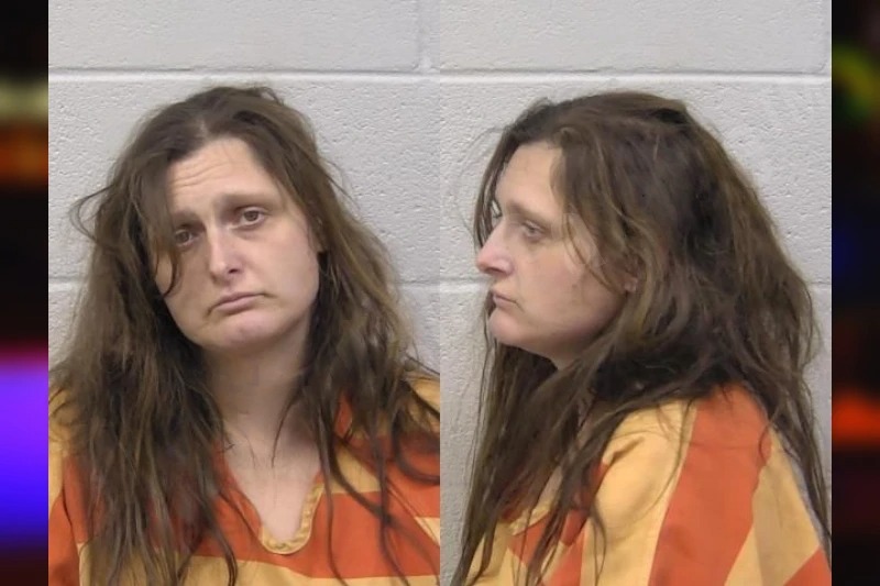 Erica Elmore mugshot