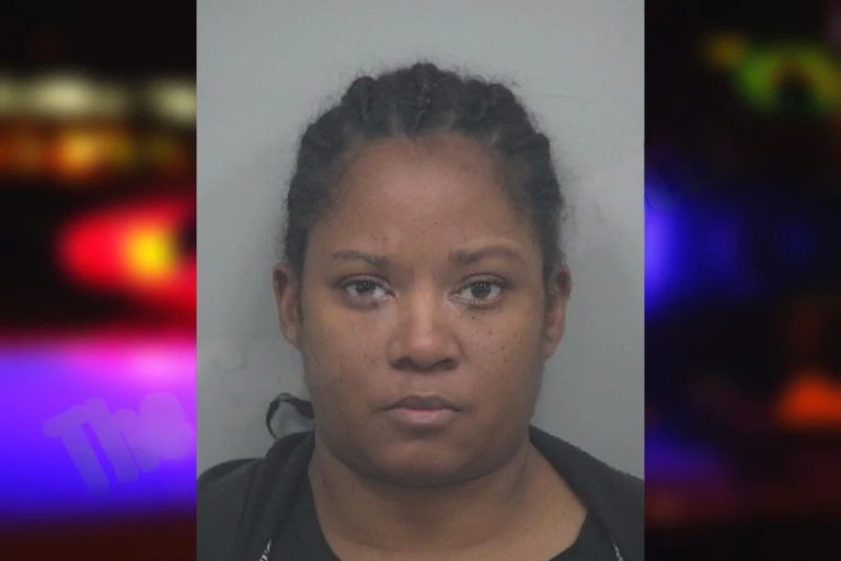 Erica Lee mugshot – Gwinnett County , Georgia Erica Lee