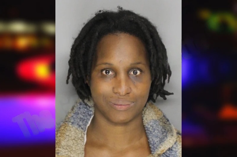 Erica Sears Mugshots