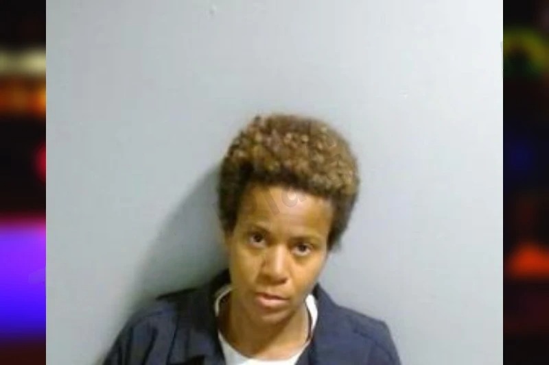 Erica Vosges mugshot