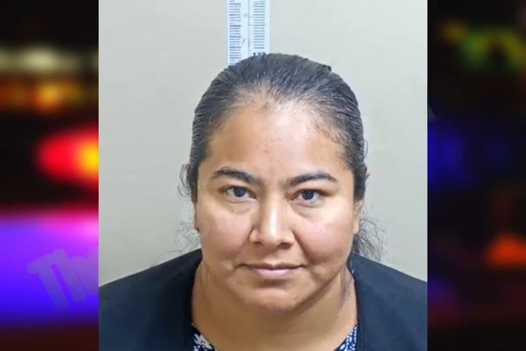 Erika Reina-Flamenco mugshot – Gwinnett County , Georgia Erika Reina-Flamenco