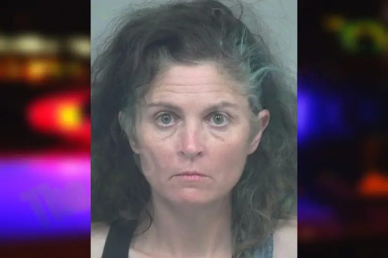 Erika Rhoades mugshot – Gwinnett County , Georgia Erika Rhoades