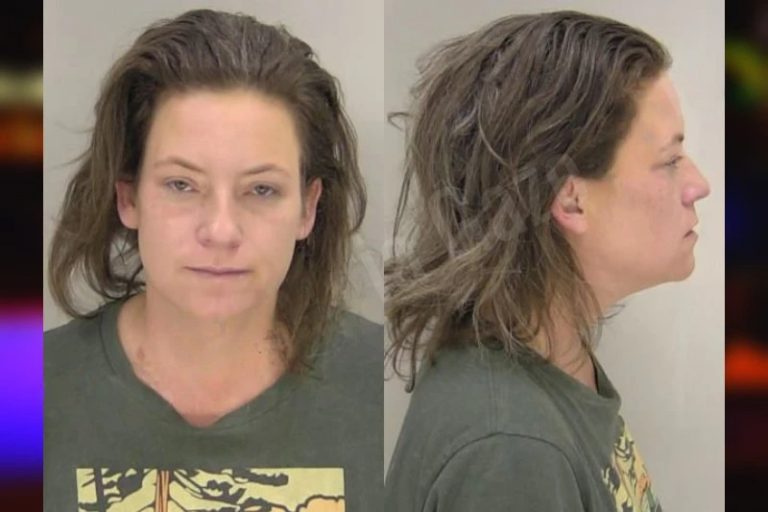 Erin Jones mugshot – Richmond County , Georgia Erin Jones