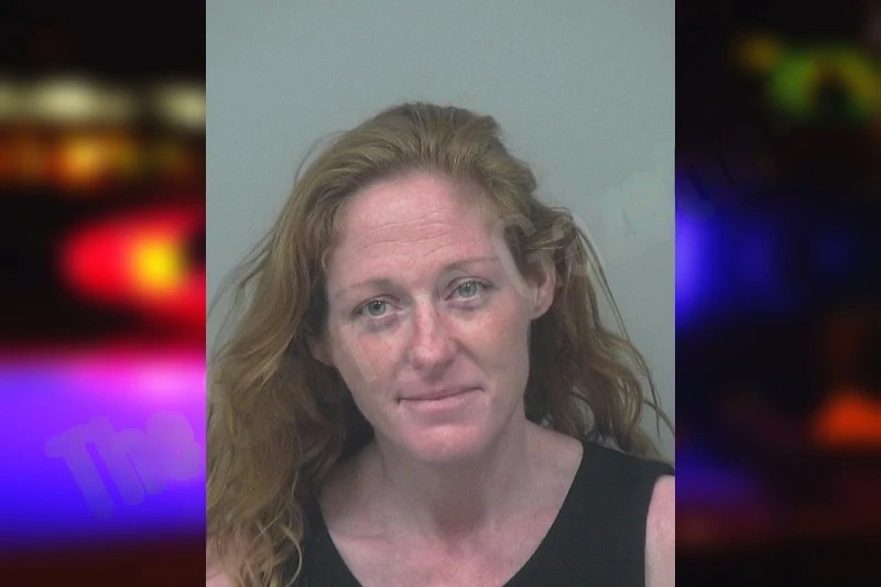 Erin Smith mugshot – Gwinnett County , Georgia Erin Smith mugshot