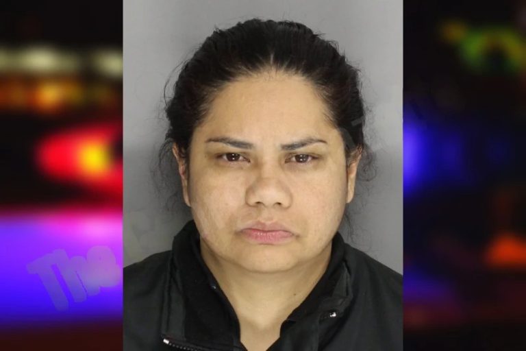 Estefania Mendoza mugshot – Cobb County , Georgia Estefania Mendoza