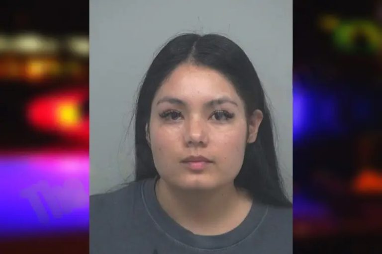 Estefania Ramirez mugshot – Gwinnett County , Georgia Estefania Ramirez