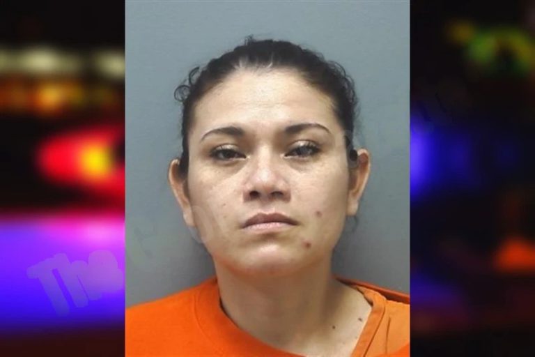 Evelin Escobar-Hernanez mugshot – Cherokee County , Georgia Evelin Escobar-Hernanez