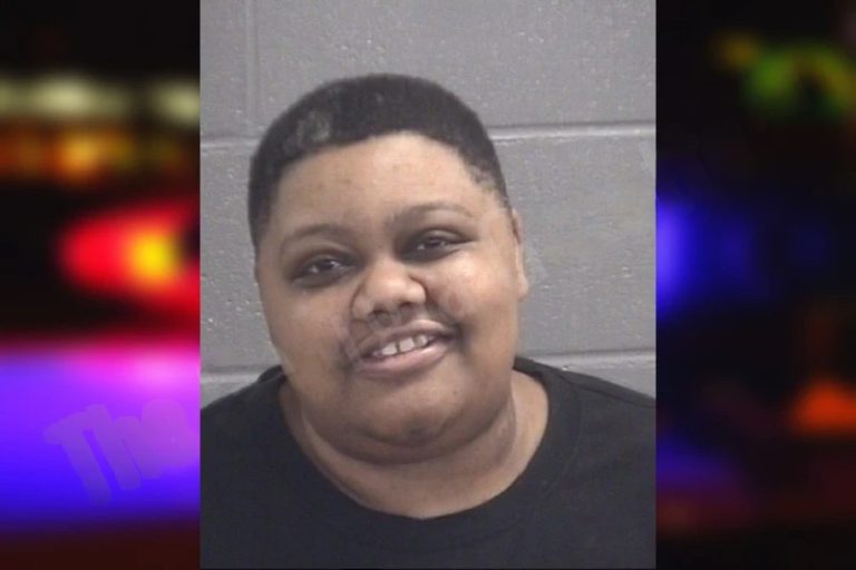 Faithyer Lindsey mugshot – Spalding County , Georgia Faithyer Lindsey