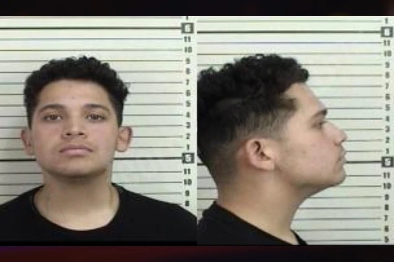 Fernando Henriquez mugshot – Camden County , Georgia Fernando Henriquez mugshot