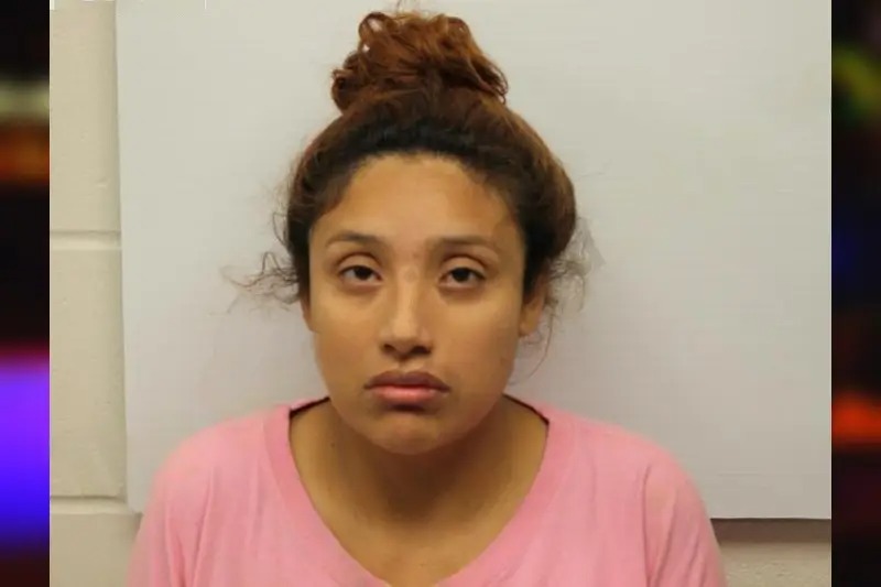 Fidelia Vasquez mugshot
