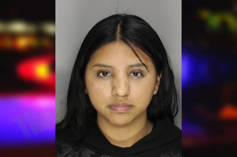 Fidelina Esteban mugshot – Cobb County , Georgia Fidelina Esteban mugshot