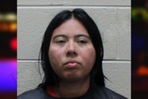 Firley Castillo-Colmenares Mugshots