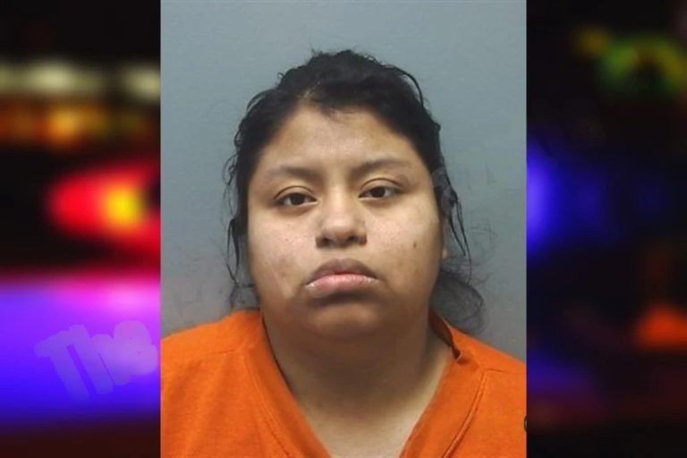 Francisca Tercero Lopez mugshot – Cherokee County , Georgia Francisca Tercero Lopez