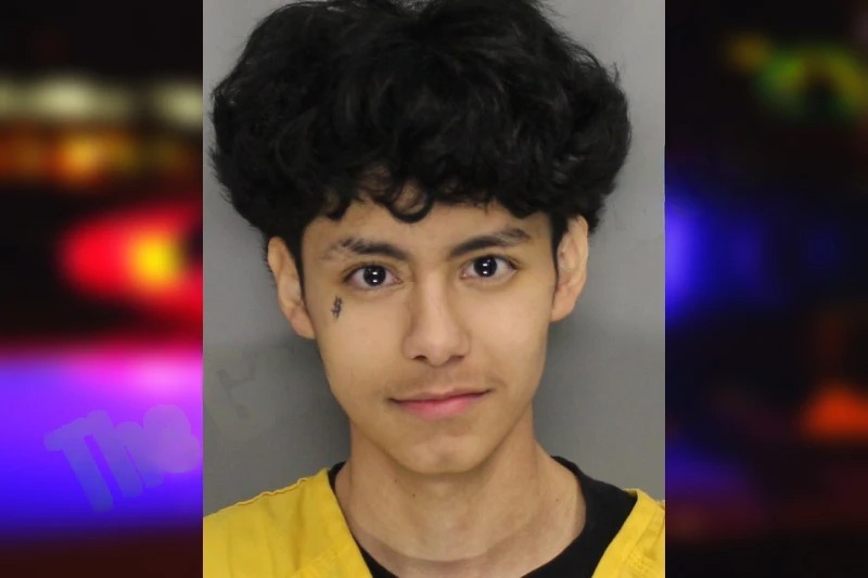 Freddy Mendiola mugshot