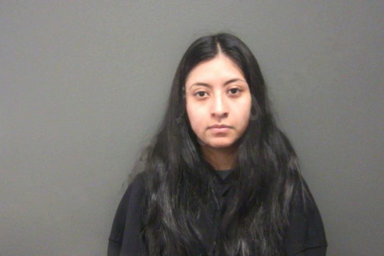 Frida Garcia Hernandez mugshot – Cherokee County , Georgia Frida Garcia Hernandez