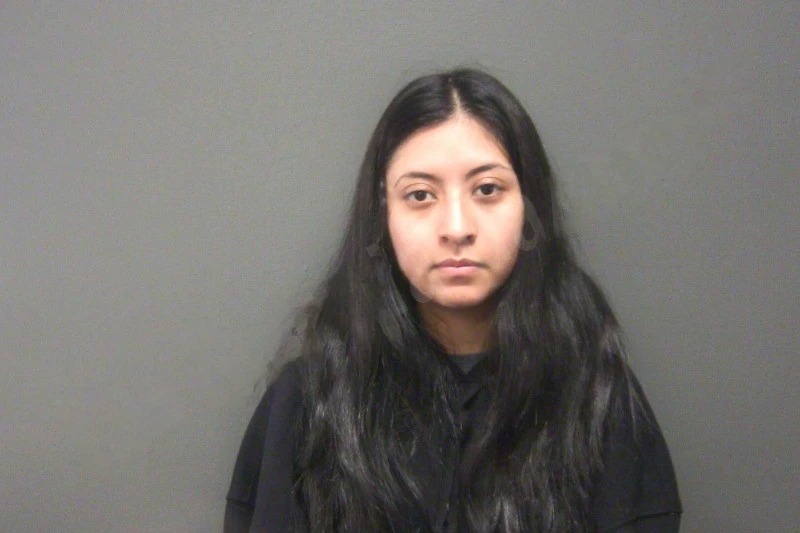Frida Garcia Hernandez mugshot