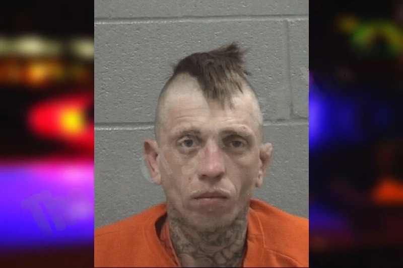 Gabriel Gomisch Mugshots