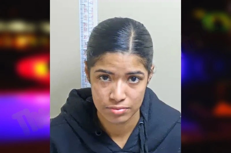 Gabriela Olivares-Mijares mugshot