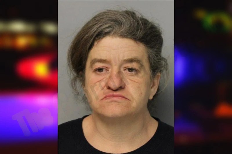 Gina Sandidge mugshot